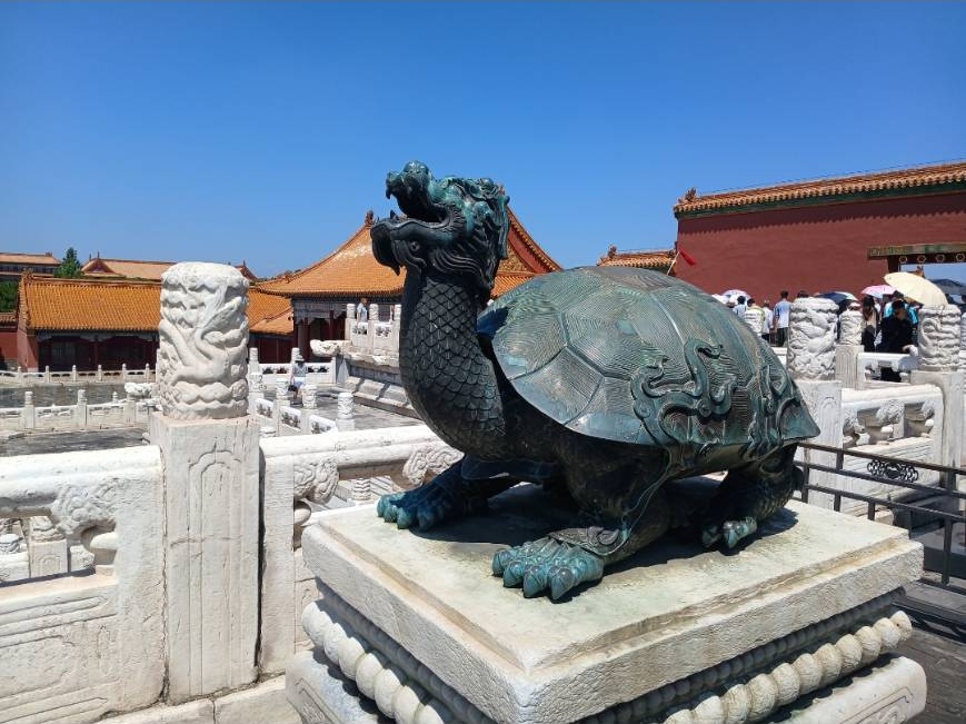 Turtle